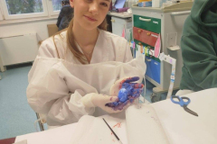 658200928_968740605718706_7868623479106016373_n